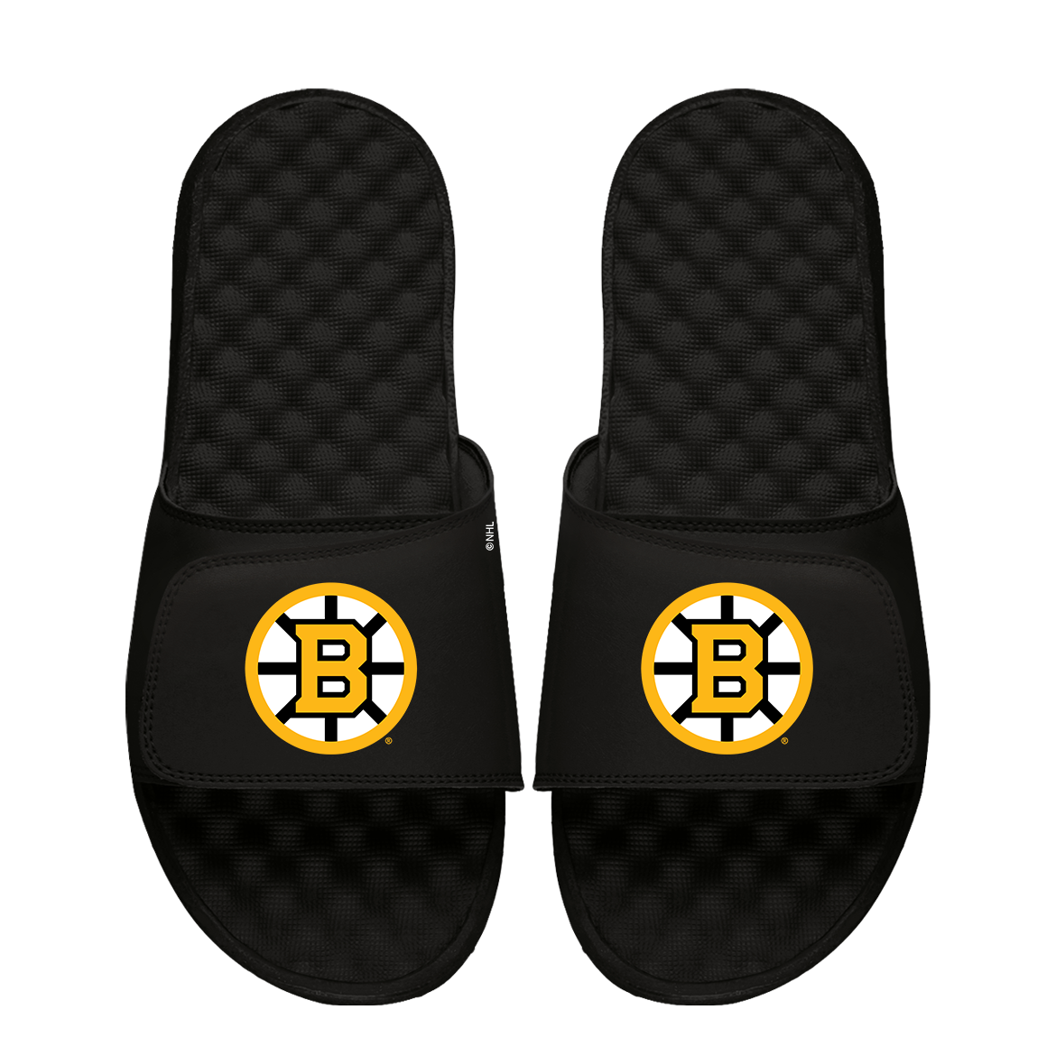 Boston Bruins Primary Logo
