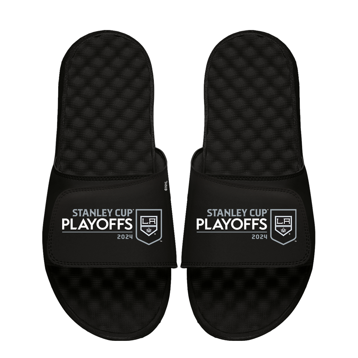 Los Angeles Kings 2024 Stanley Cup Playoffs Logo