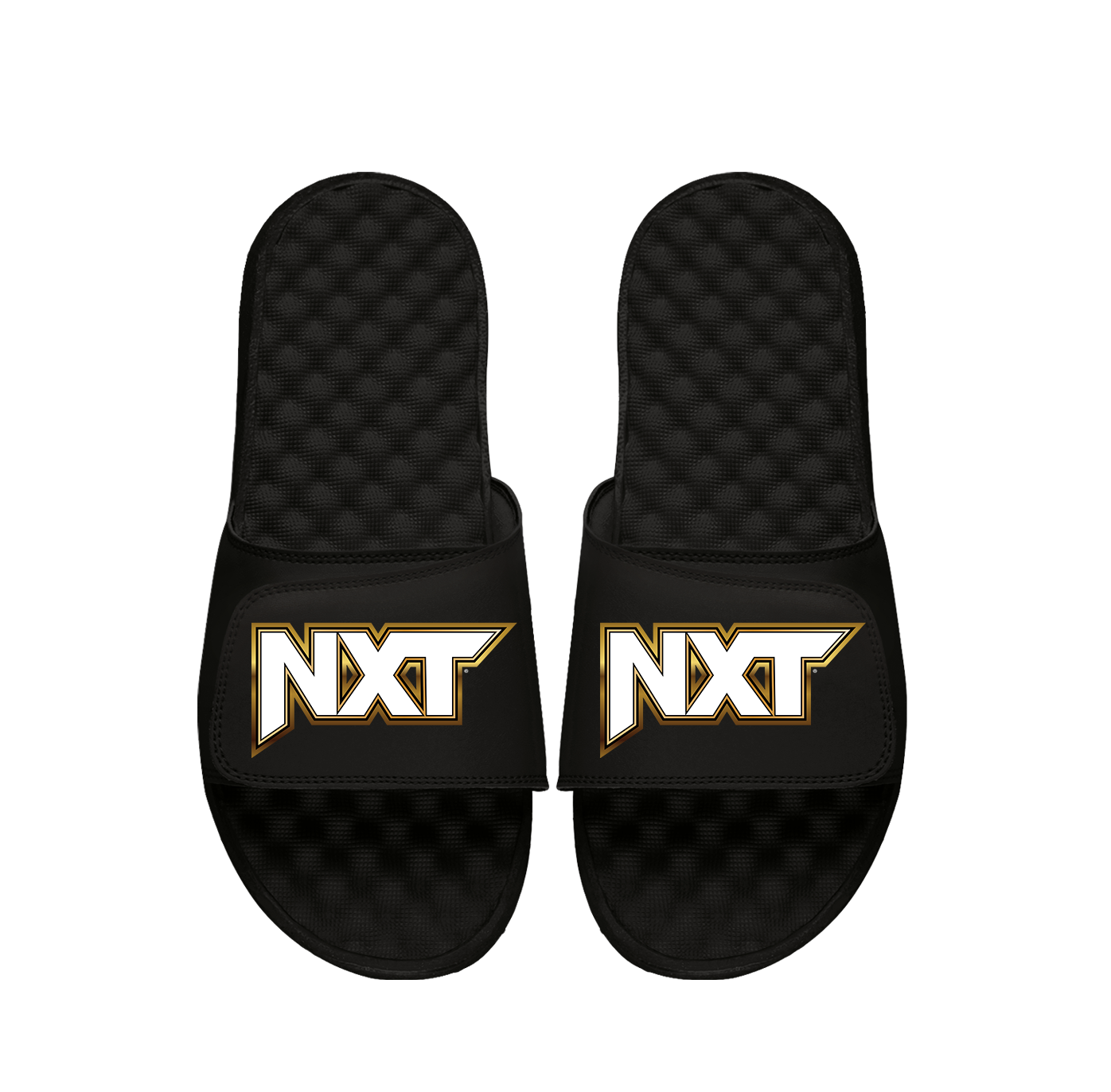NXT Wordmark Slides