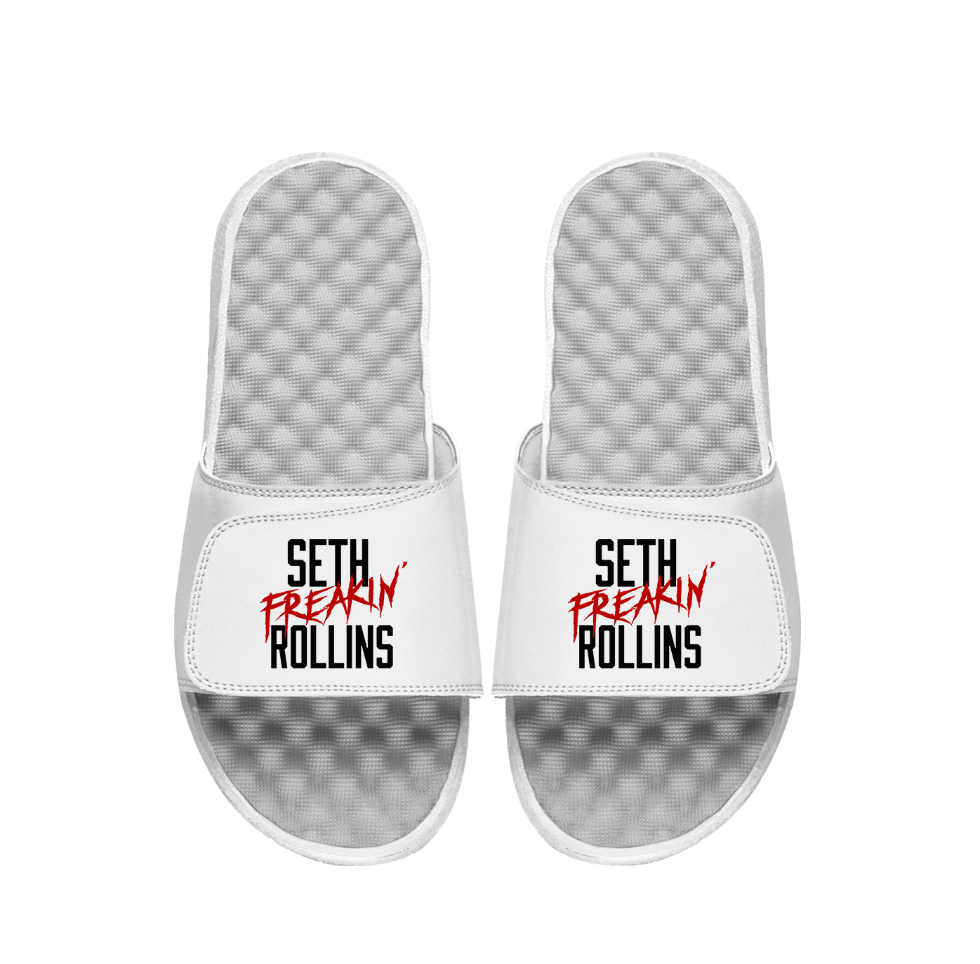 Seth Freakin Rollins Slides