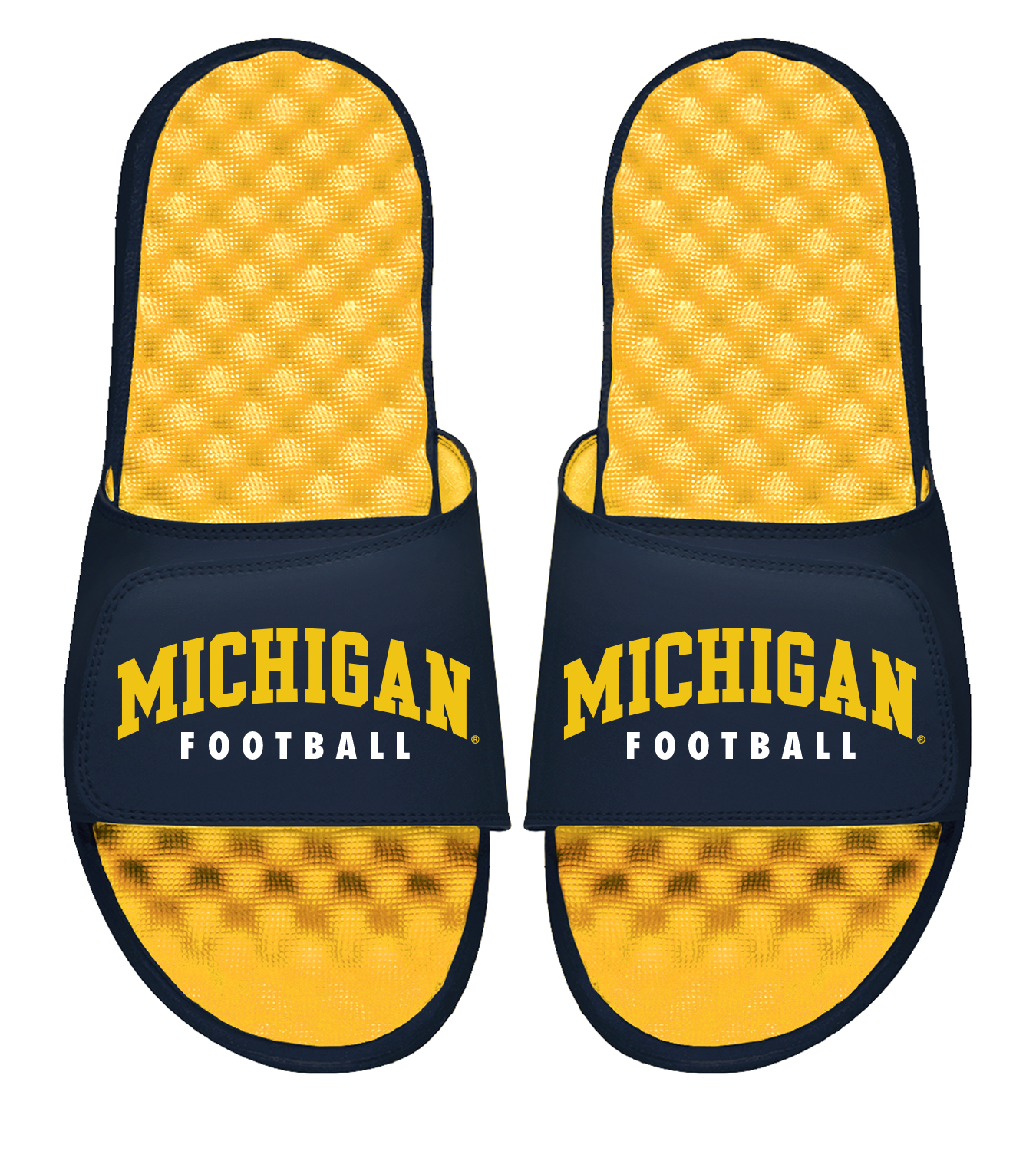 Michigan Football Wordmark Maize Slides