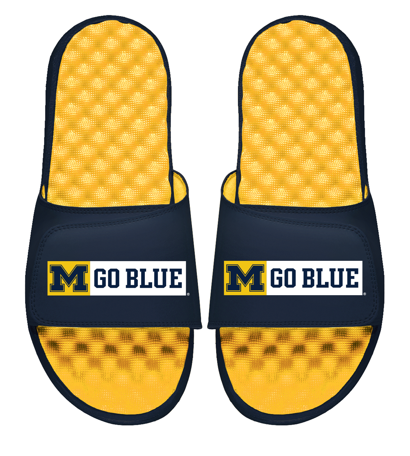 Michigan Go Blue Slides