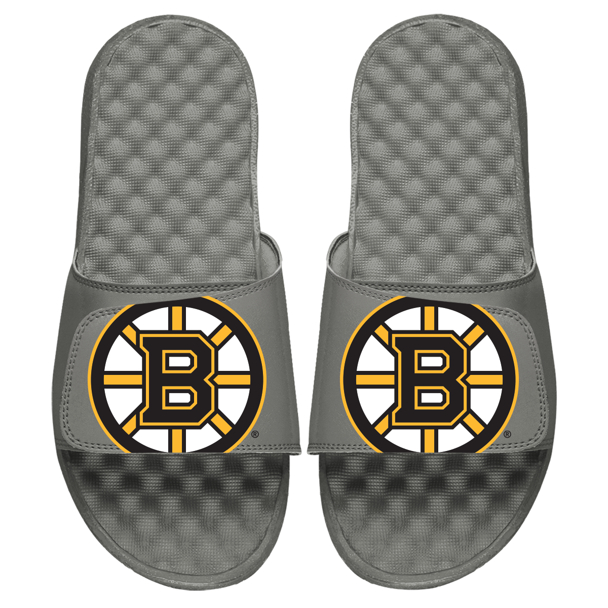 Boston Bruins Blown Up Slides