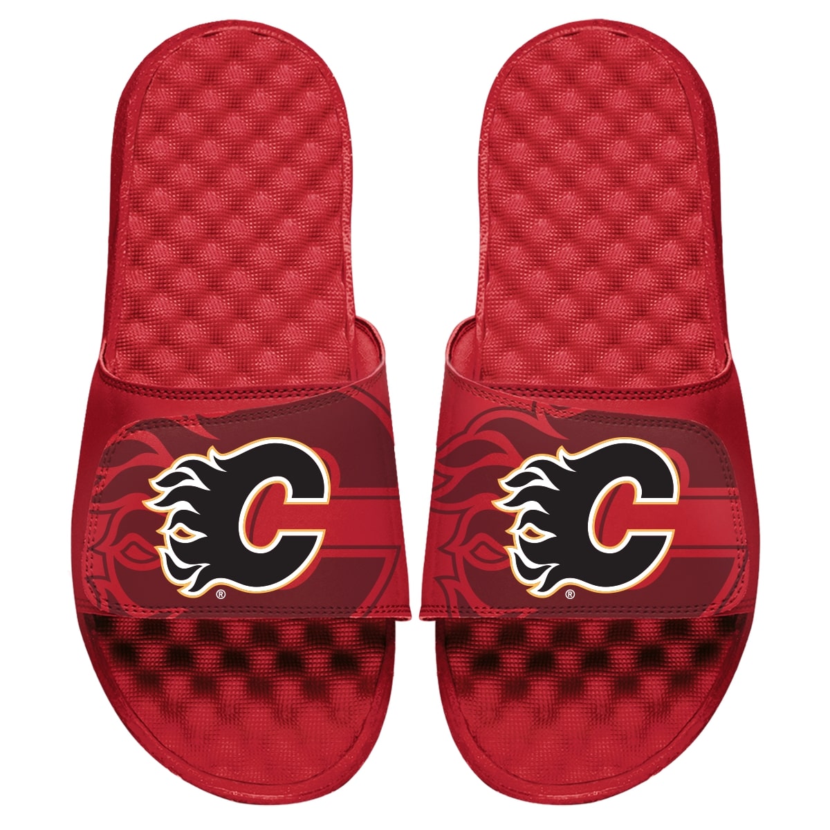 Calgary Flames OT Slides