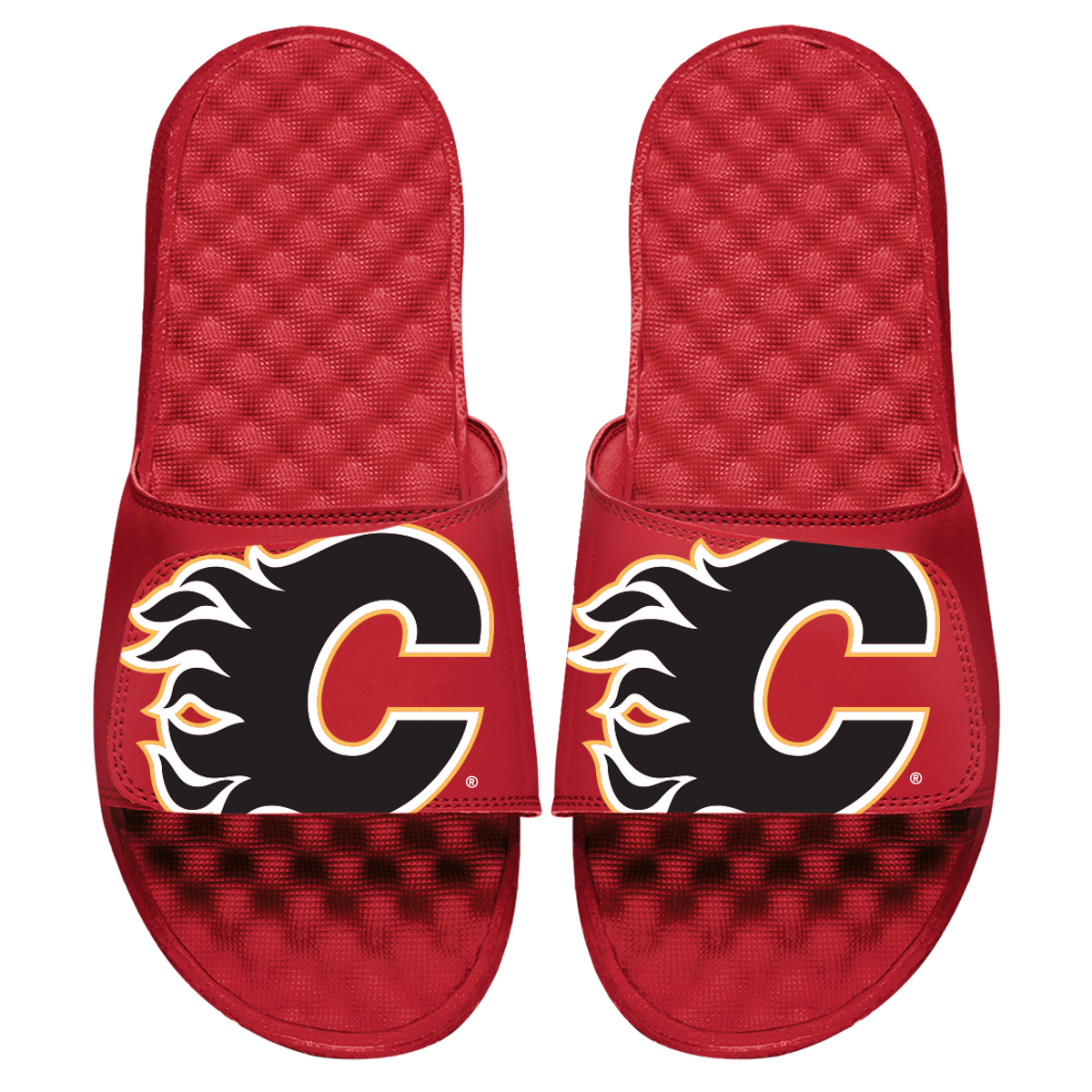 Calgary Flames Blown Up Slides