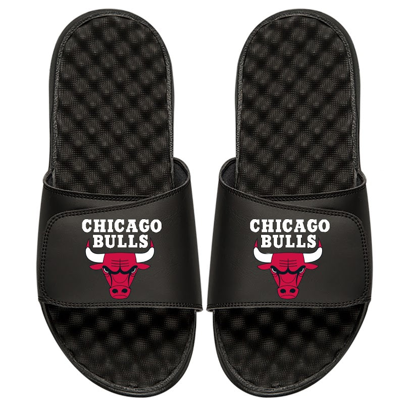 Chicago Bulls Global Slides