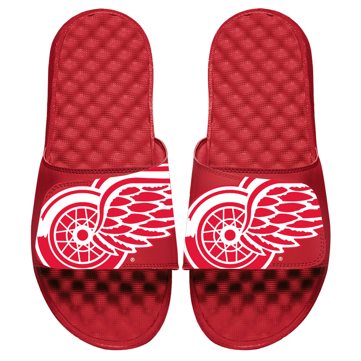 Detroit Red Wings Blown Up Slides