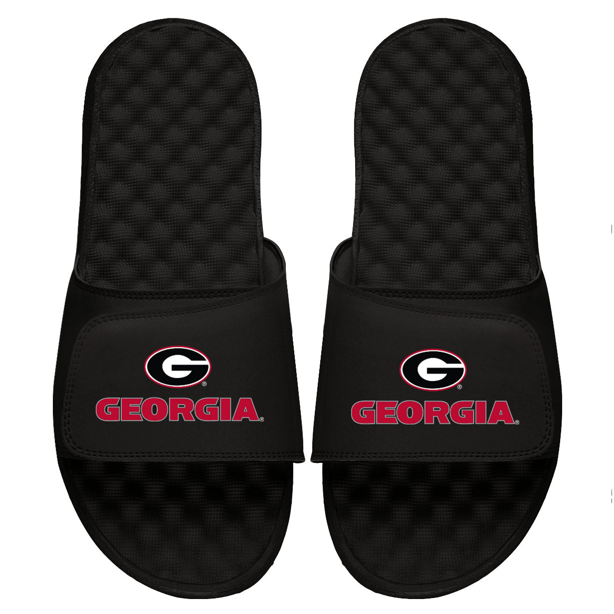 Georgia Secondary Slides