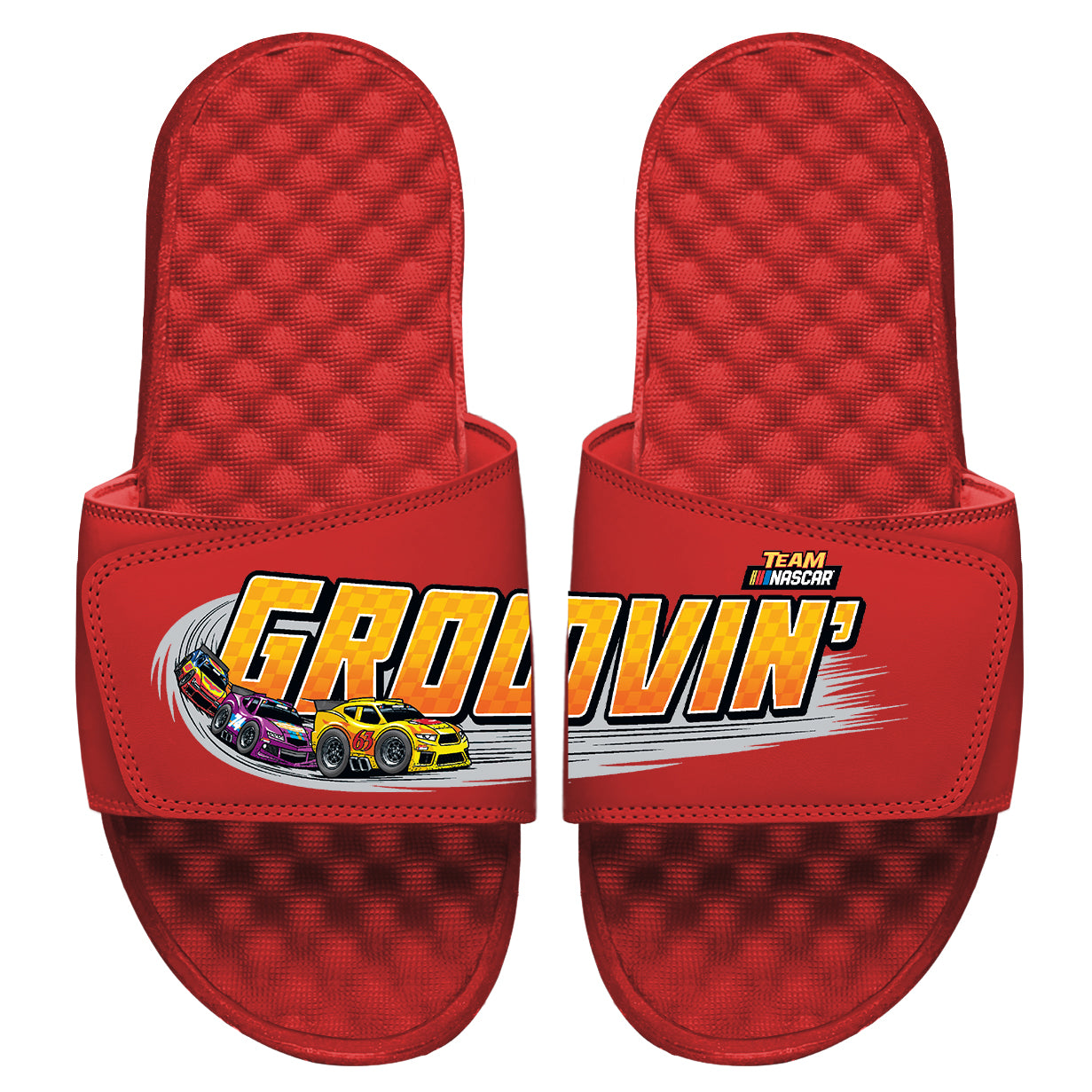 NASCAR Groovin' Slides