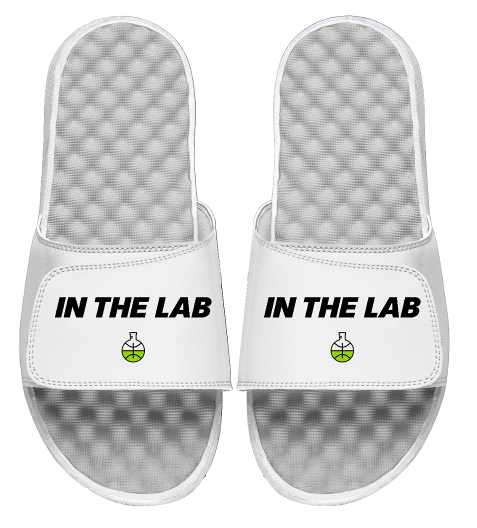 In the Lab Primary Slides
