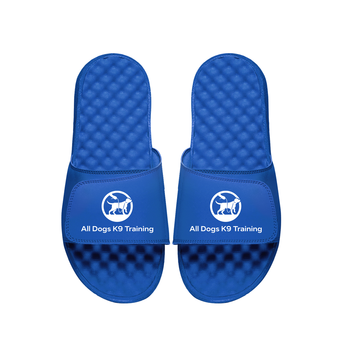 All Dogs K9 Training Primary PERSONALIZE Slides