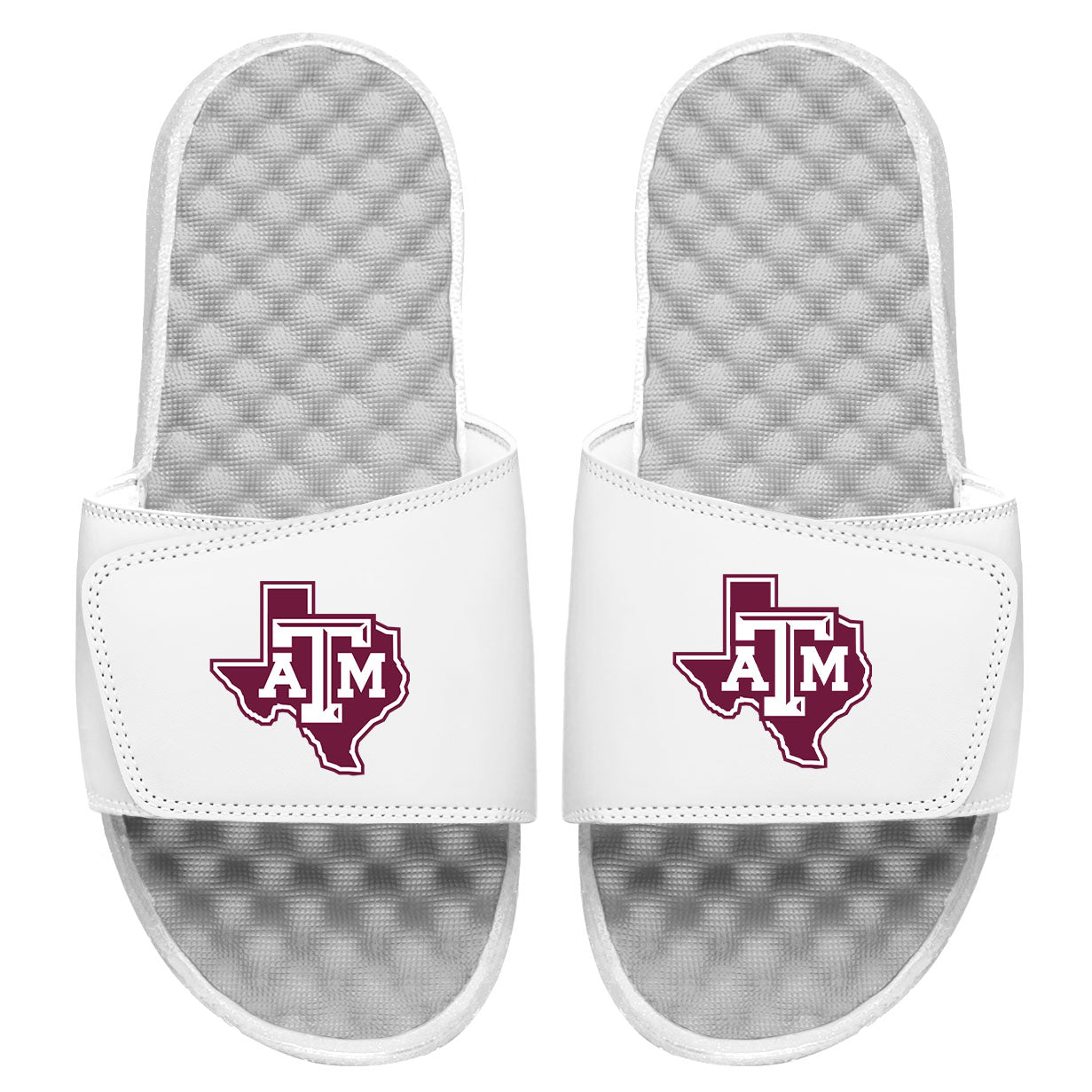 Texas A&M State Logo Slides