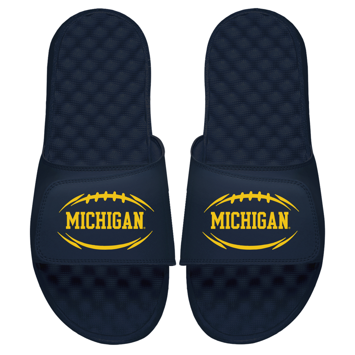 Michigan Football Logo Slides