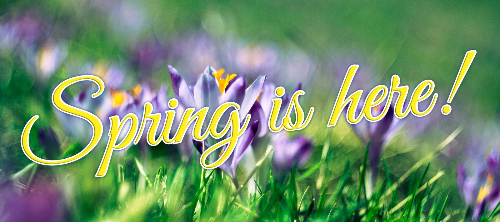 Spring Where R U A Few of my Favorite Springs - ISlide