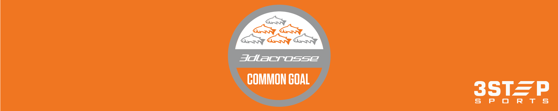 3d Common Goal