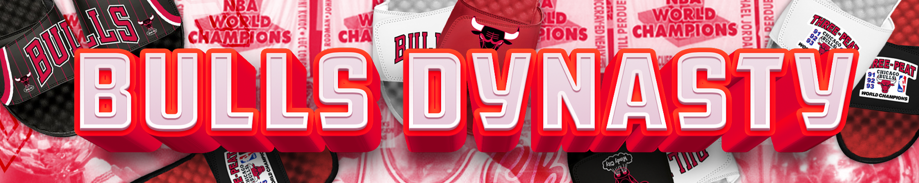 Chicago Bulls Dynasty