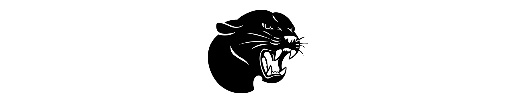 Burlingame HS Panthers