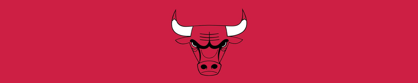 Chicago Bulls