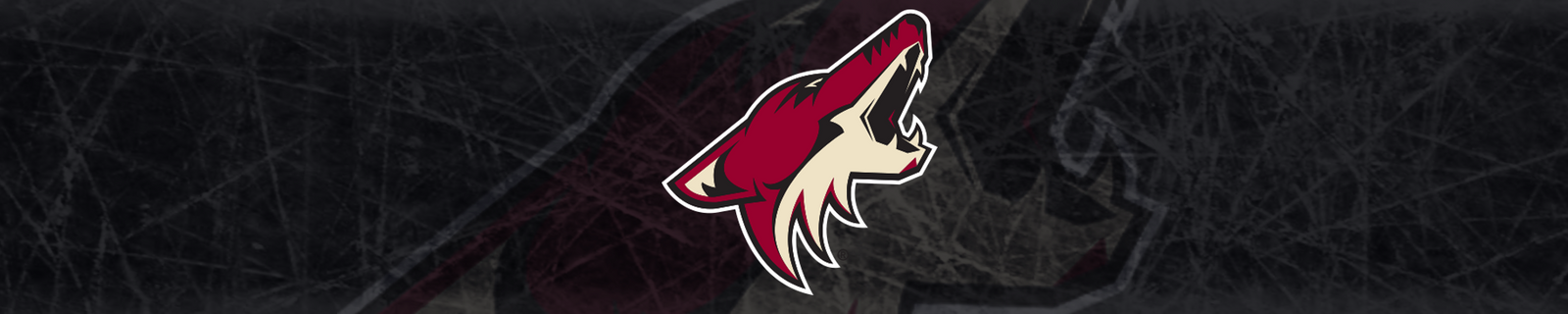 Arizona Coyotes