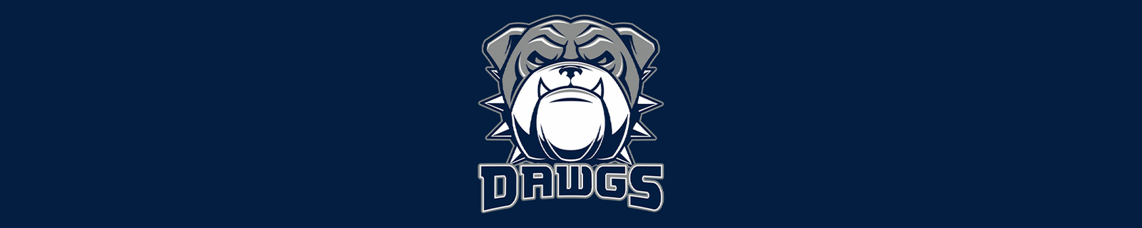 Diamond Dawgs Baseball