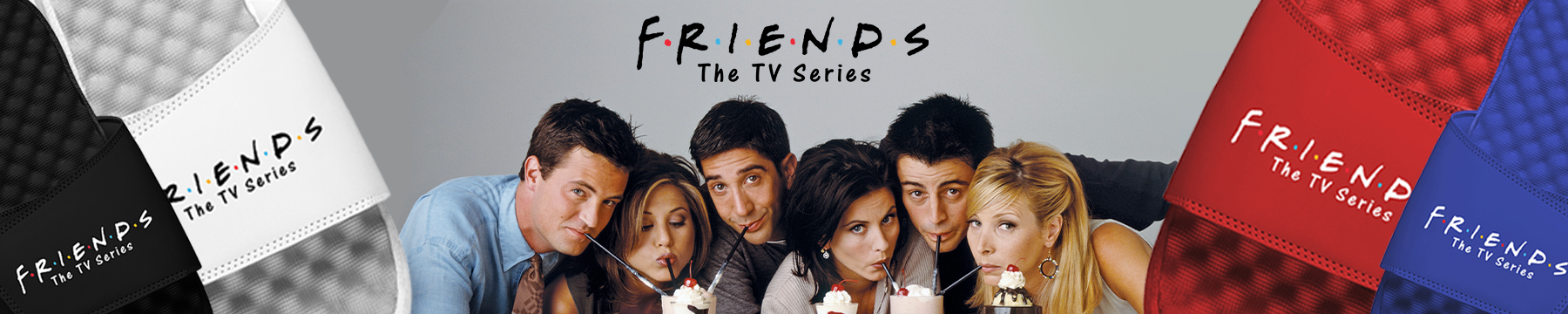 Friends the TV Series