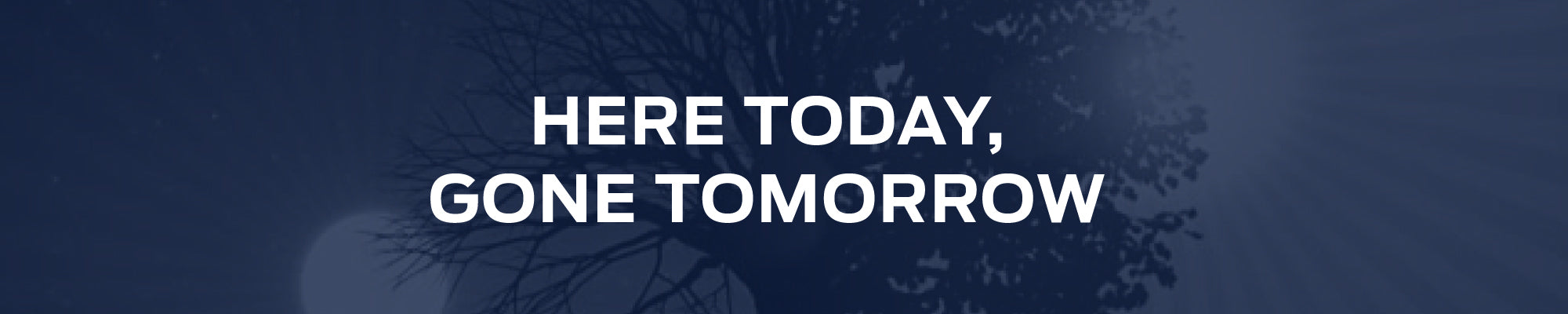 Here Today Gone Tomorrow