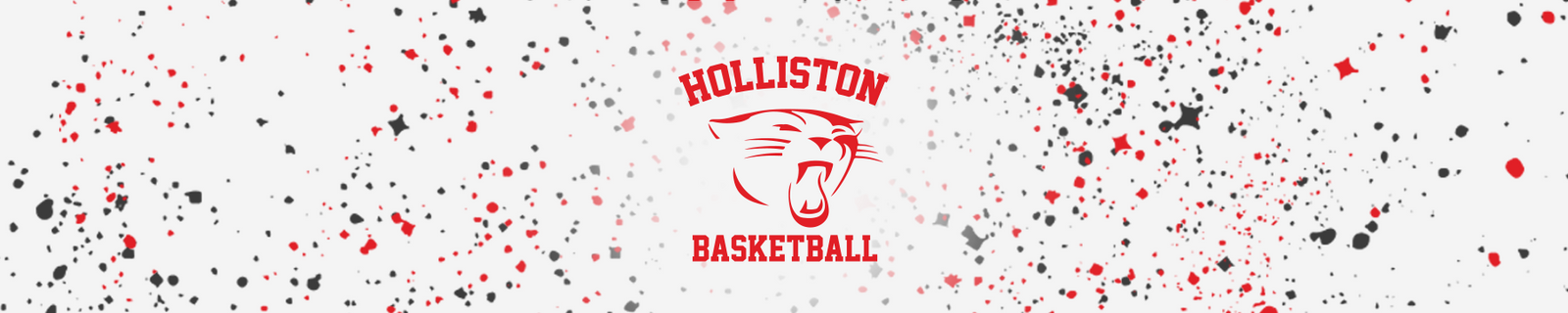 Holliston