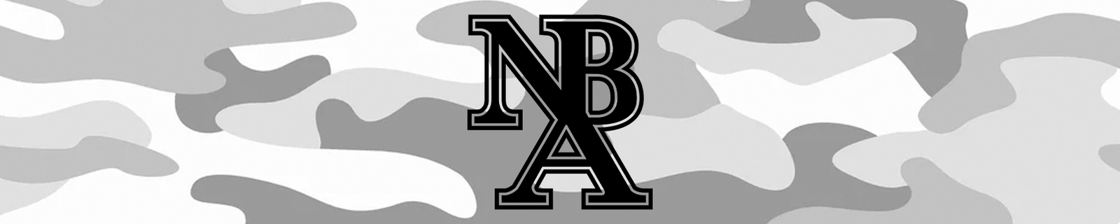 Natural Baseball Academy