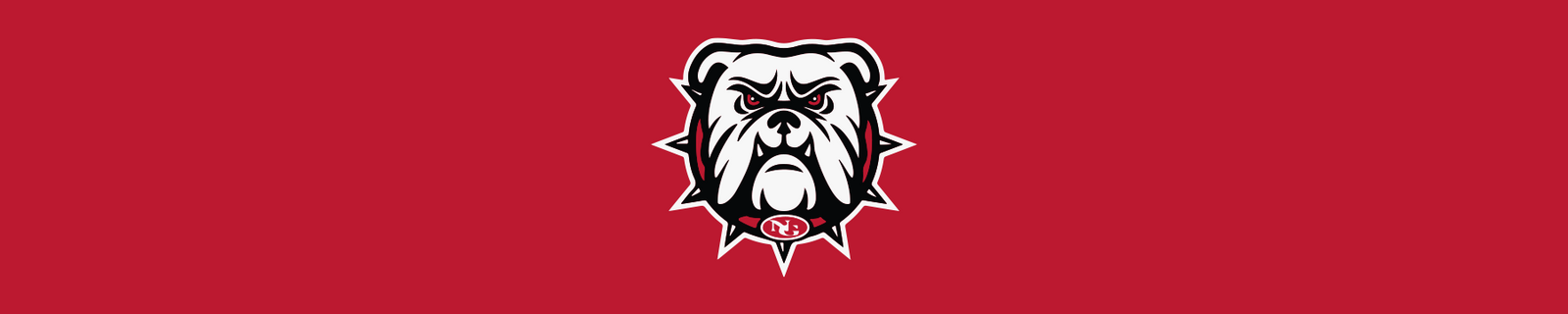 North Gwinnett Football