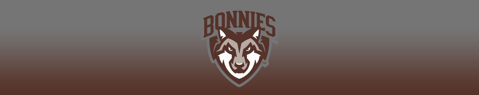 St. Bonaventure University