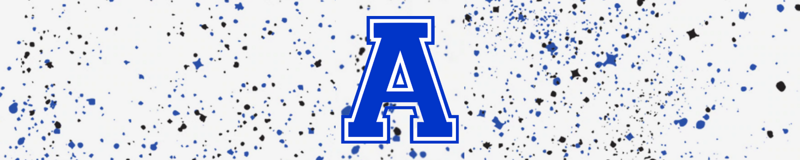 Blue Bombers Basketball