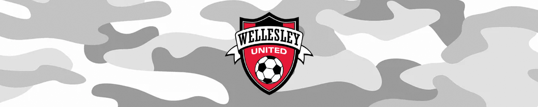 Wellesley Soccer