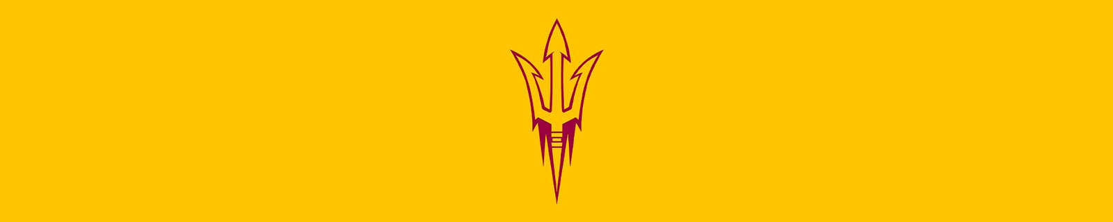 Arizona State University