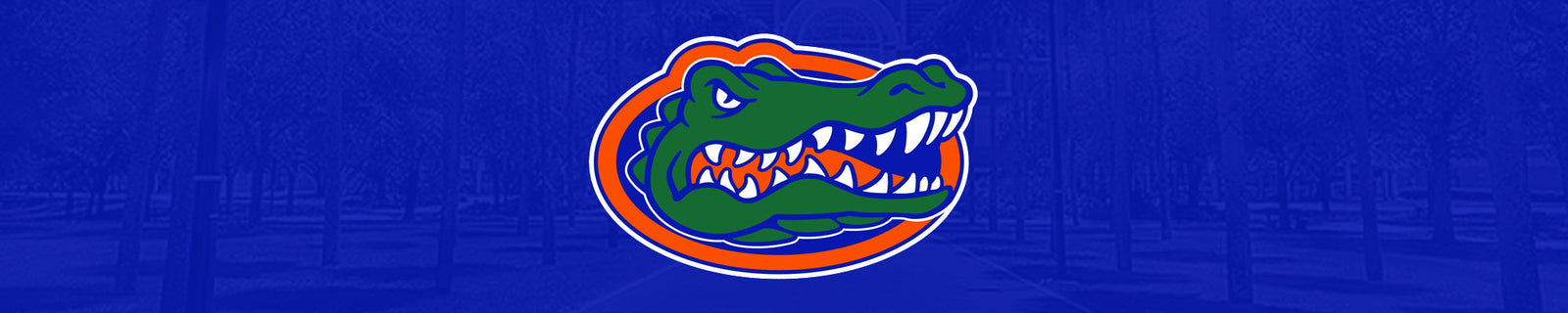 University of Florida