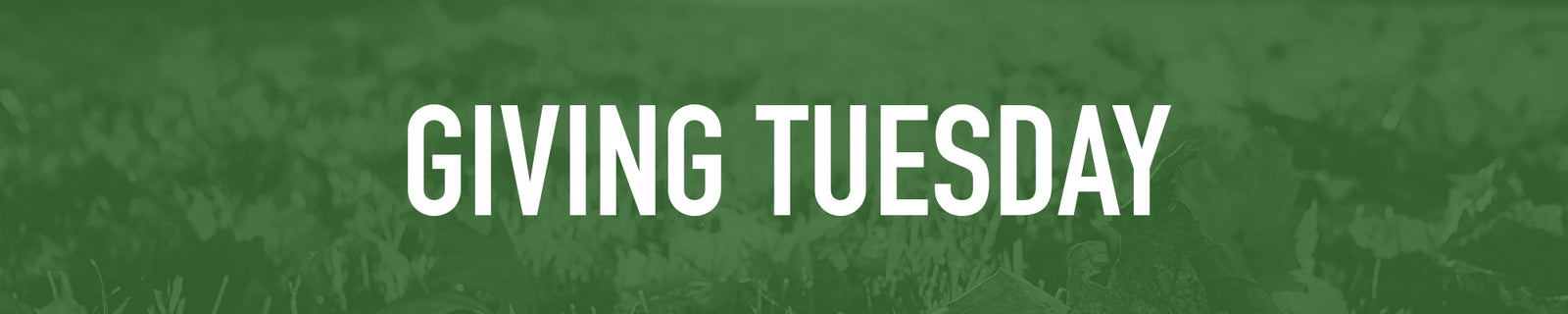Giving Tuesday