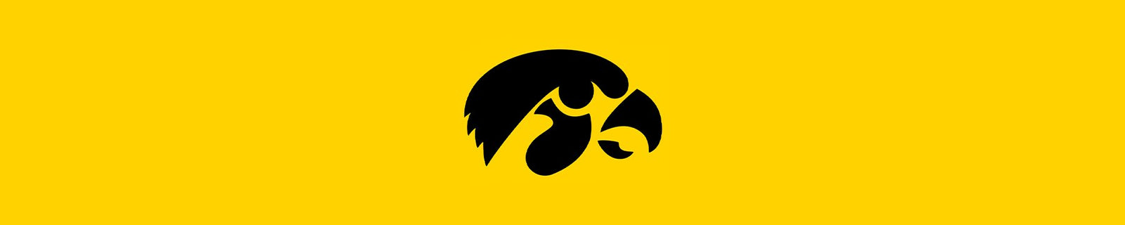 University of Iowa