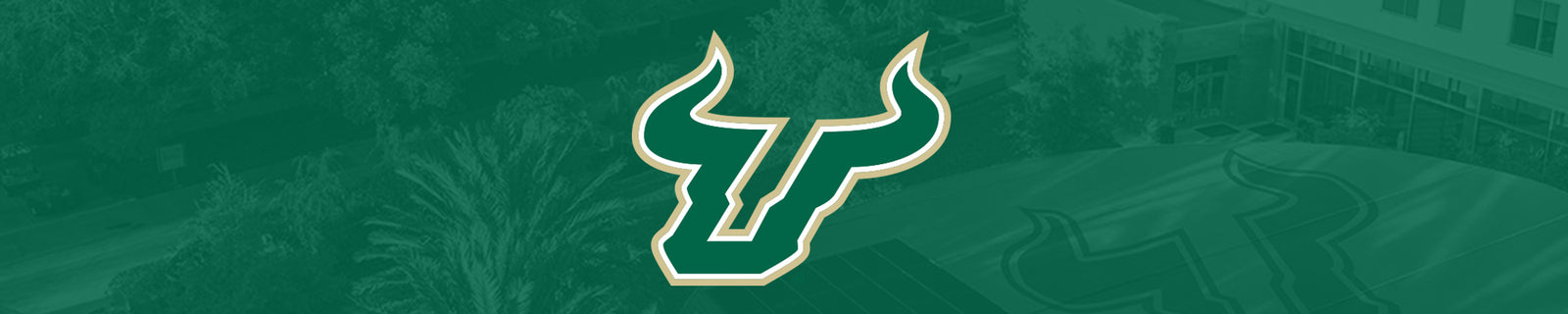 University of South Florida