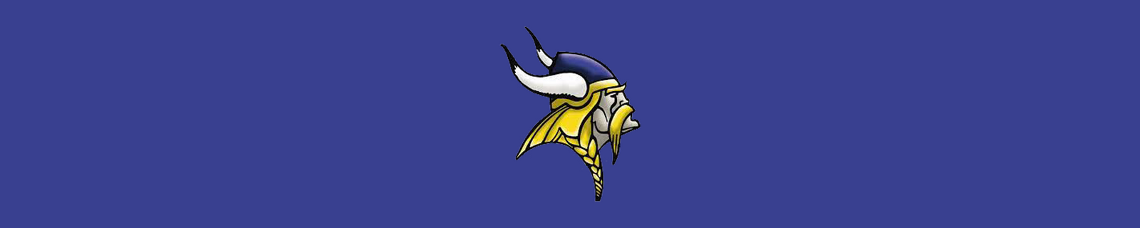 Vernon Vikings