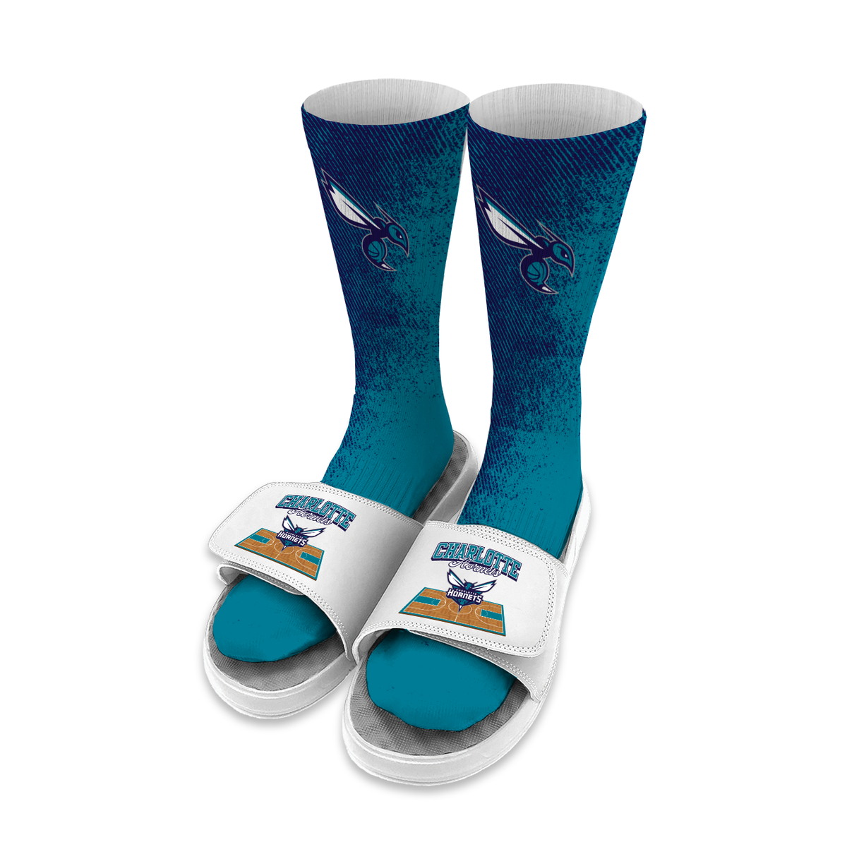 Charlotte Hornets Court Collage Bundle