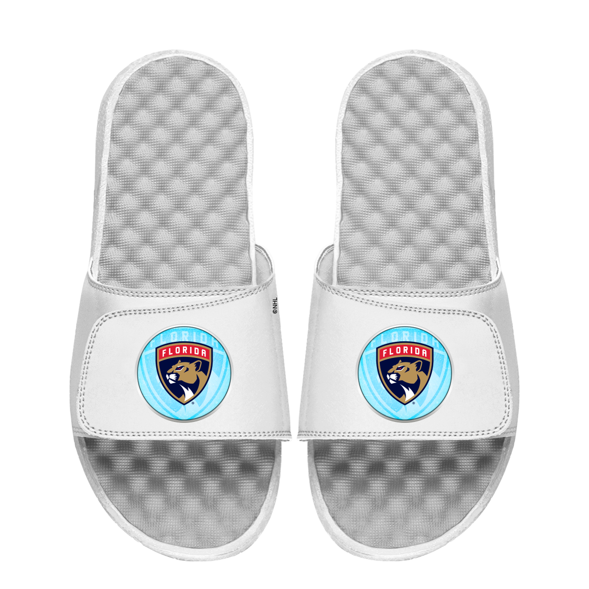 Florida Panthers Ice Shatter Bundle