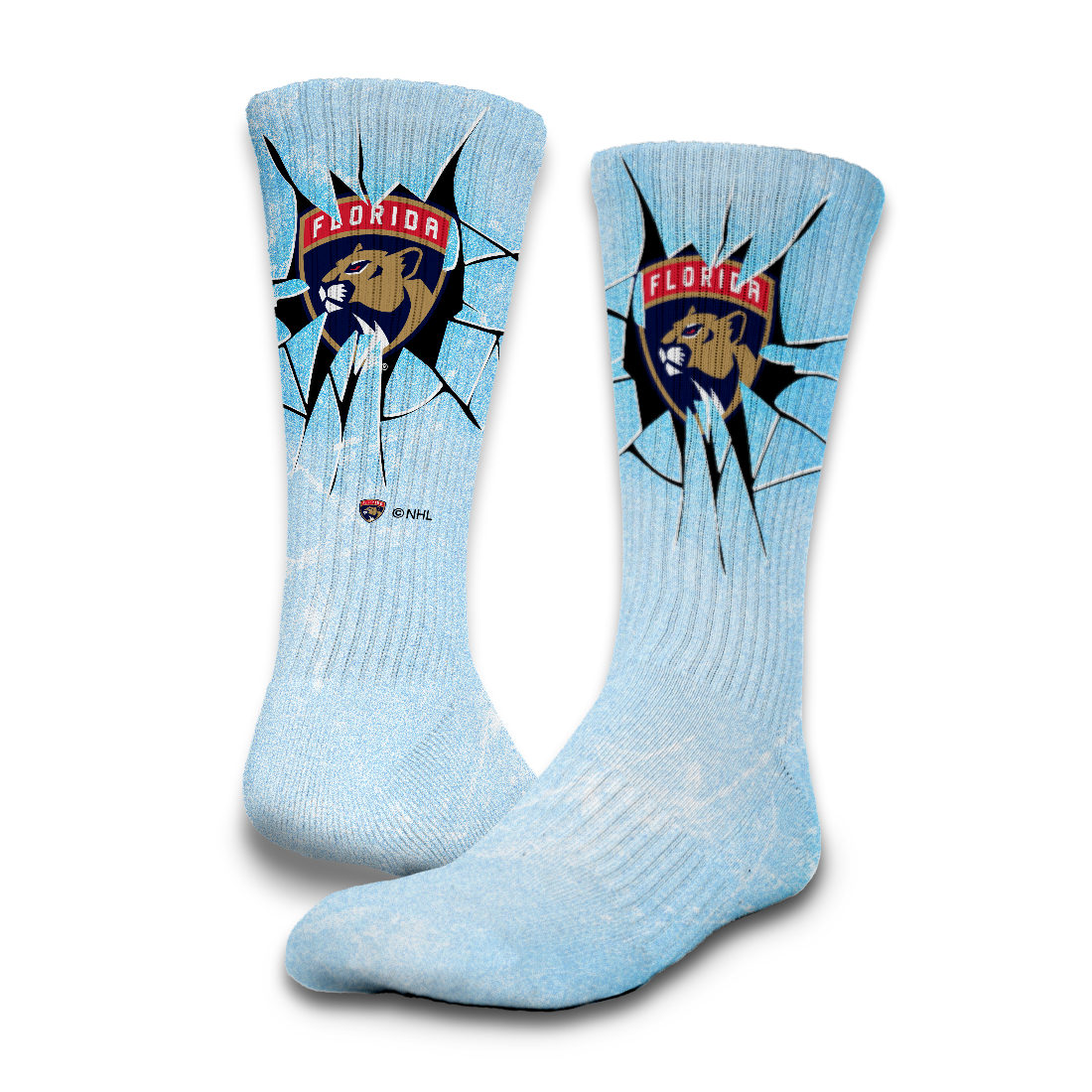 Florida Panthers Ice Shatter Bundle