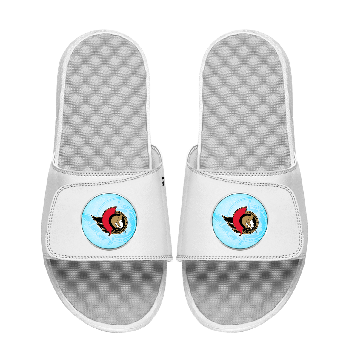Ottawa Senators Ice Shatter Bundle
