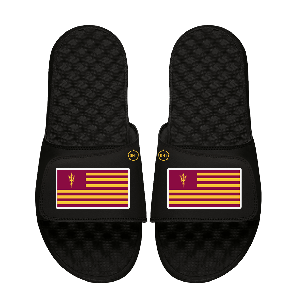 Arizona State Sun Devils Team Flag ISlide x OHT