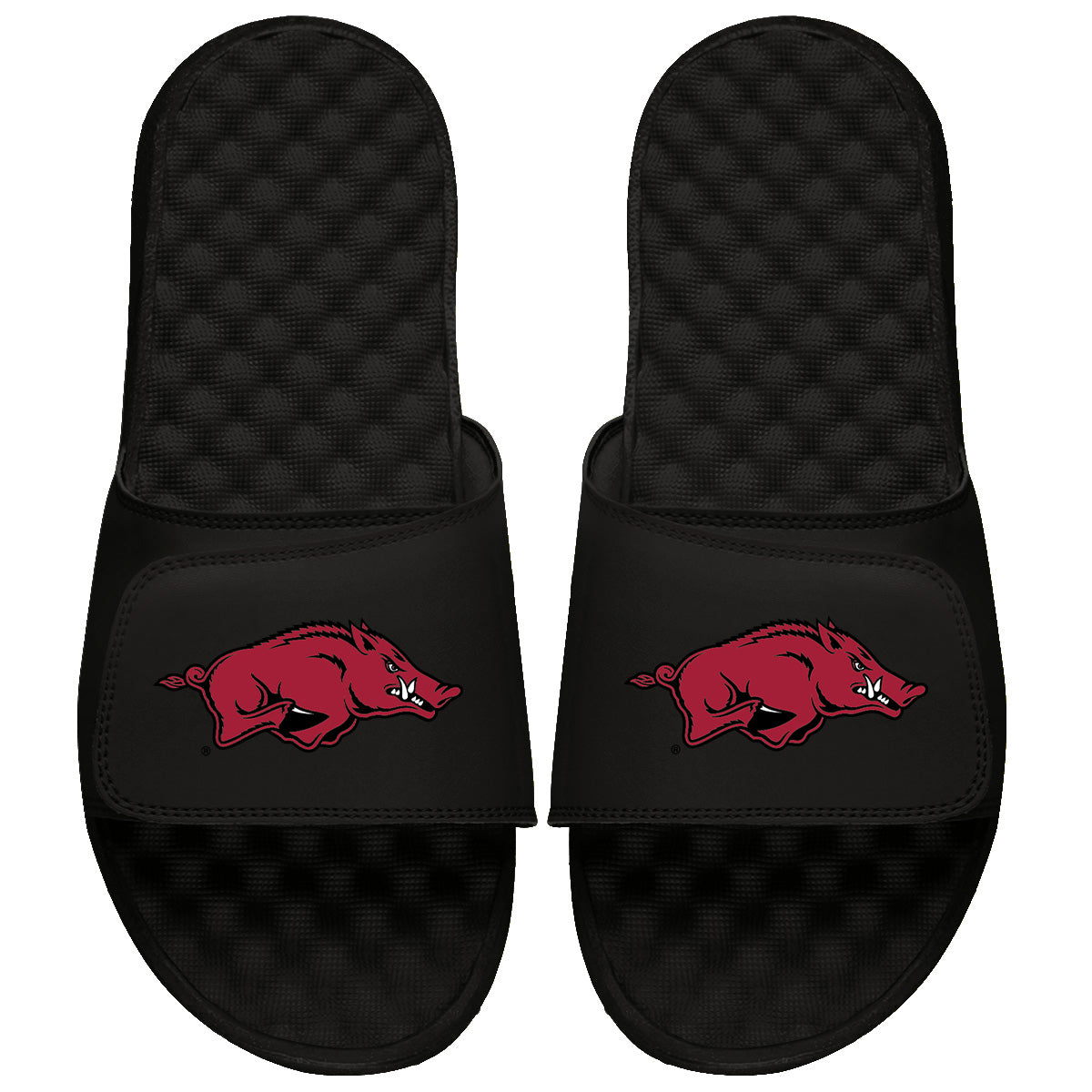 Arkansas Razorbacks Primary Logo
