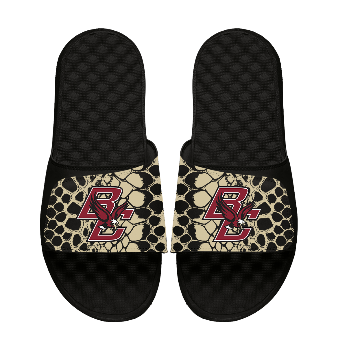 Boston College Eagles Year of the Snake