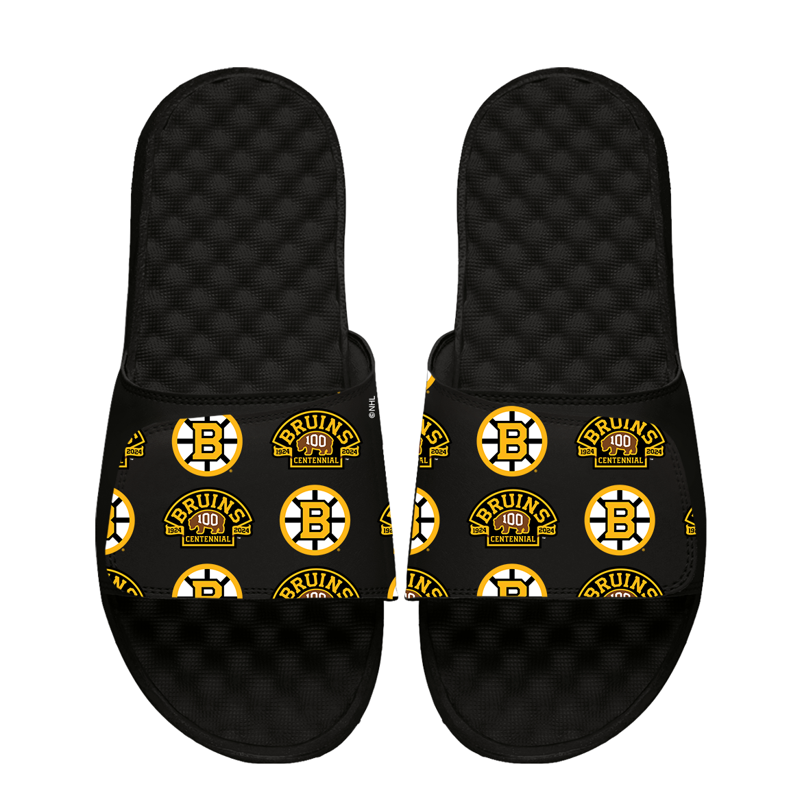 Boston Bruins Centennial Pattern