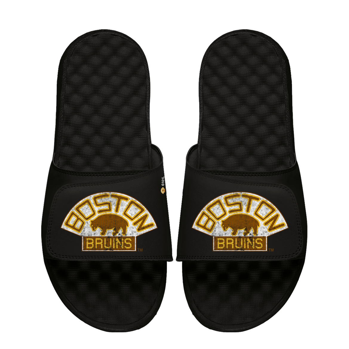 Boston Bruins Vintage Distressed Logo