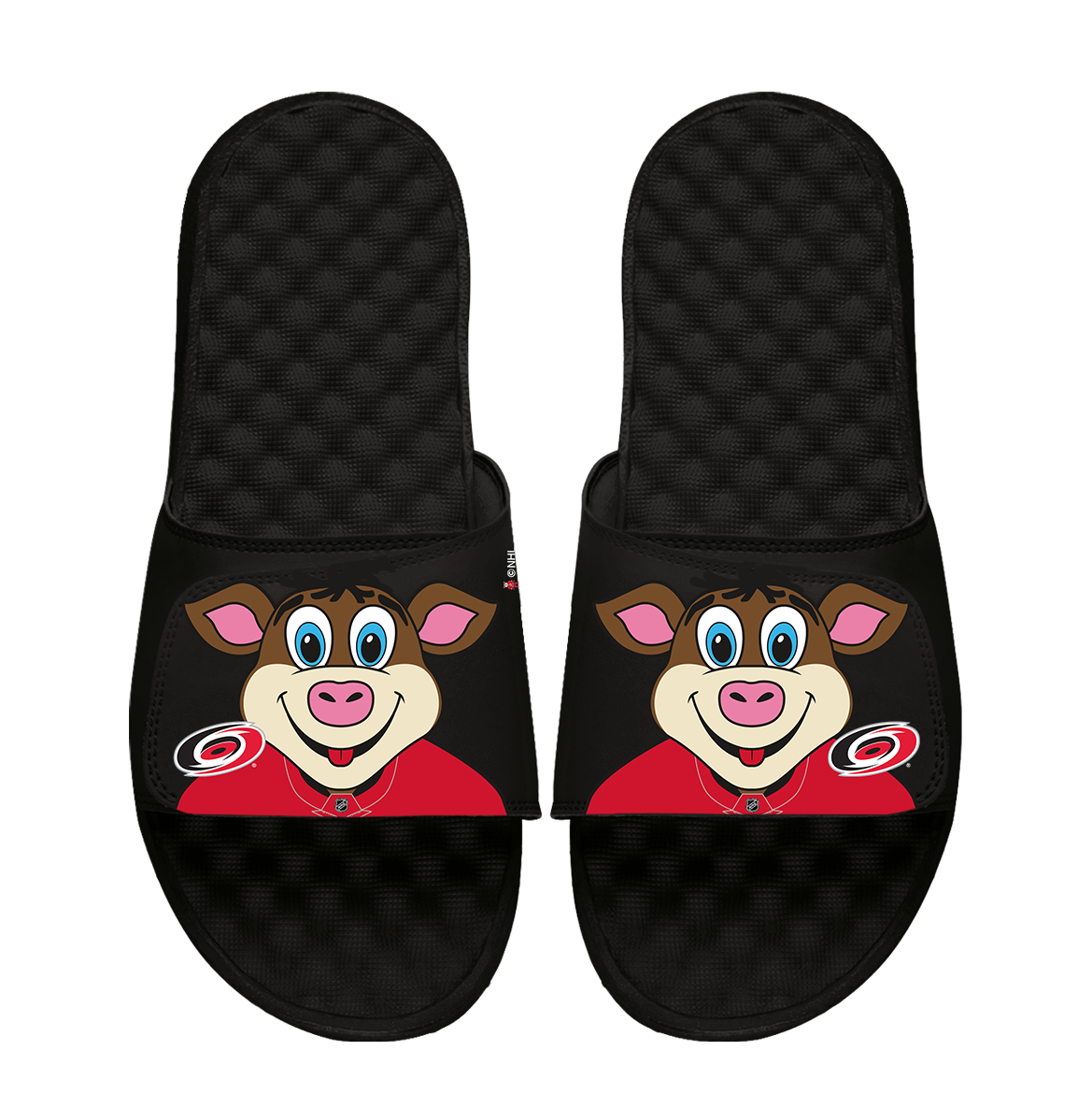 Carolina Hurricanes Mascot