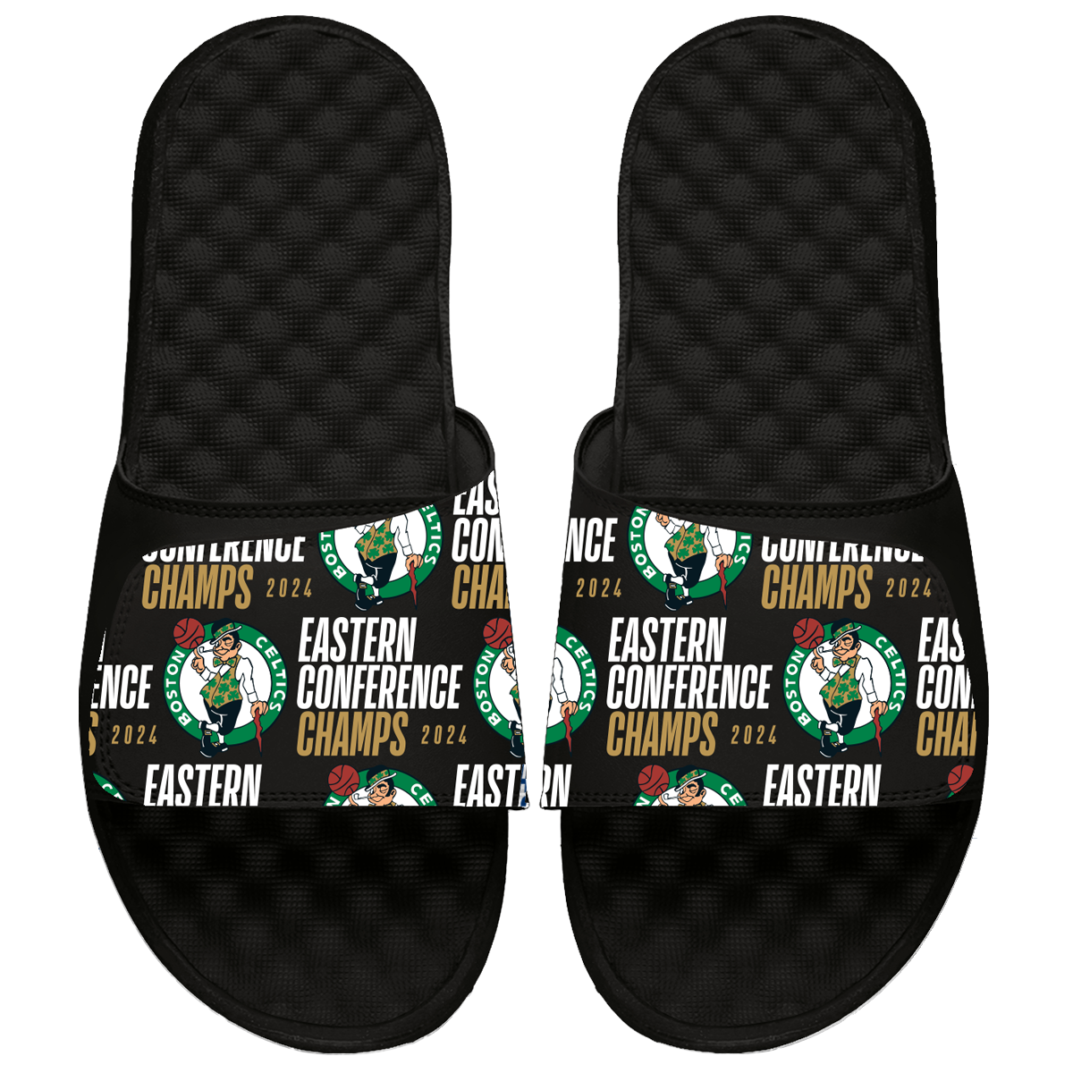 Boston Celtics Eastern Conference Finals Champions