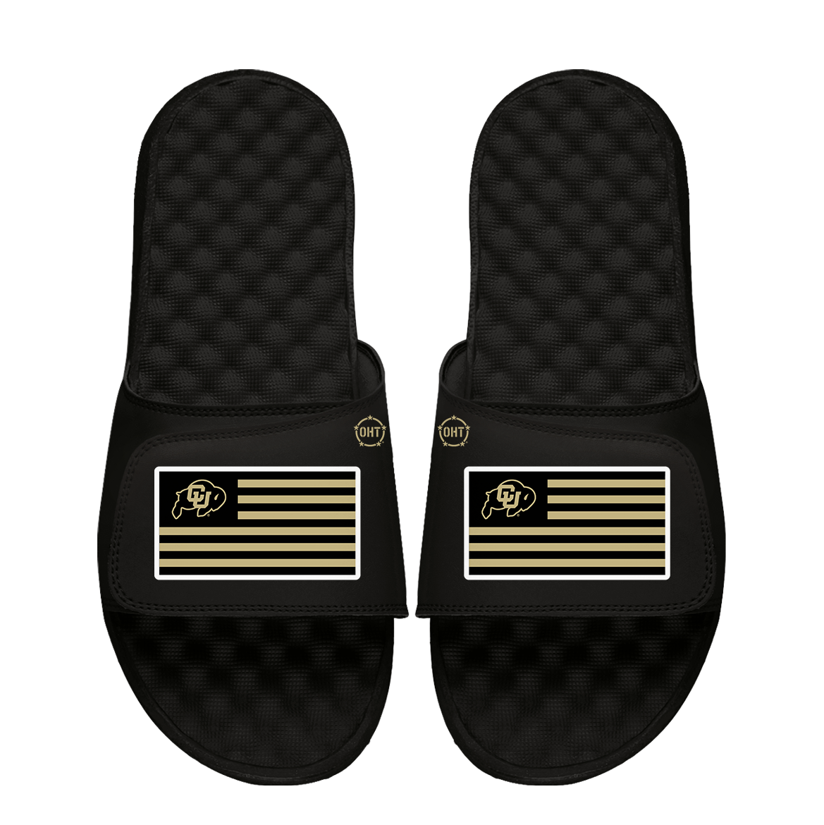 Colorado Buffaloes Team Flag ISlide x OHT